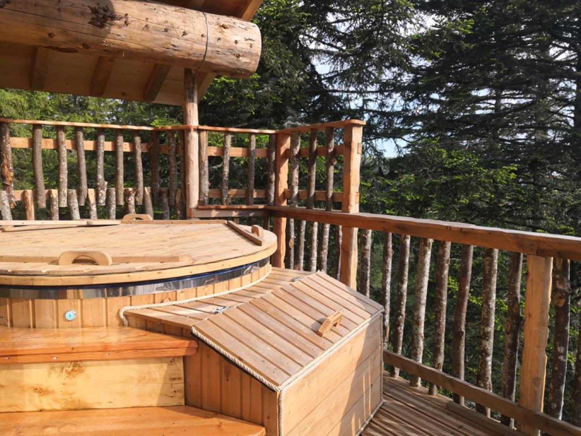 Cabanes Des Volcans La Tour-dʼAuvergne Rom bilde