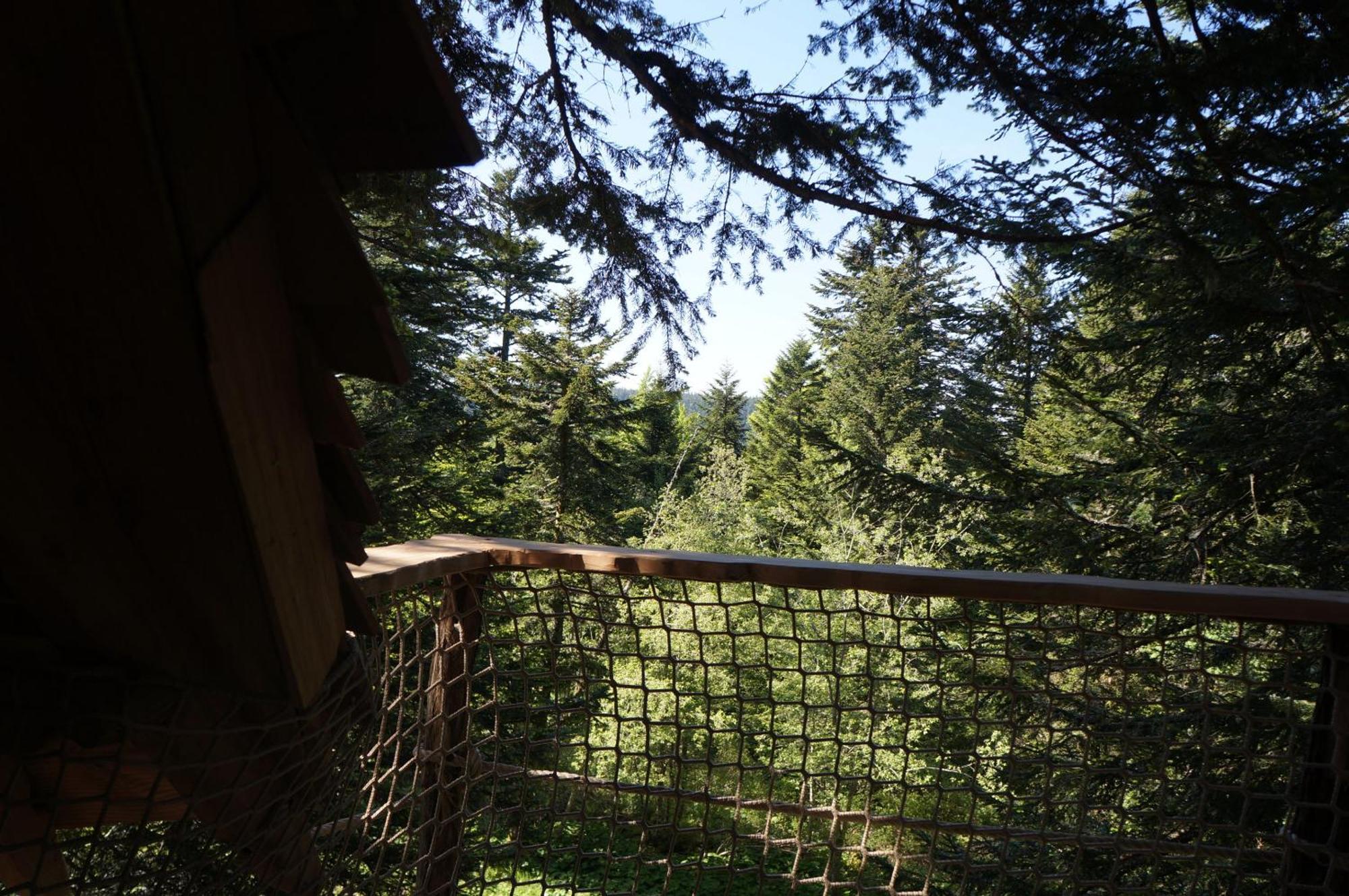 Cabanes Des Volcans La Tour-dʼAuvergne Rom bilde